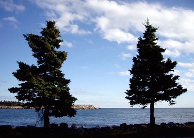 Maine