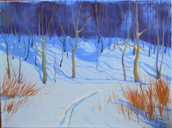 Sunlit Winter Day