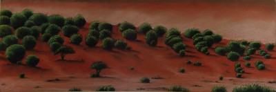 New Mexico Red Desert